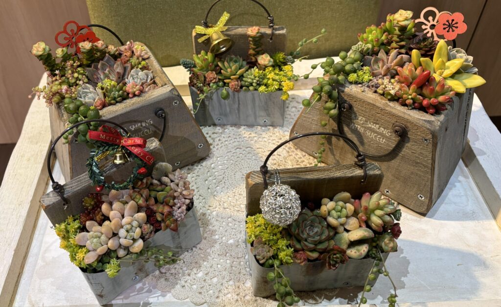 多肉植物イベント作品
