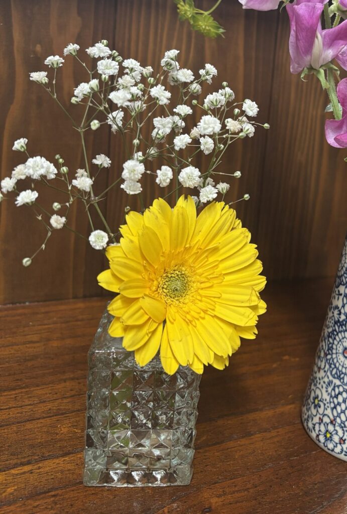 月1500円で、好きな花が何回でも変えられる