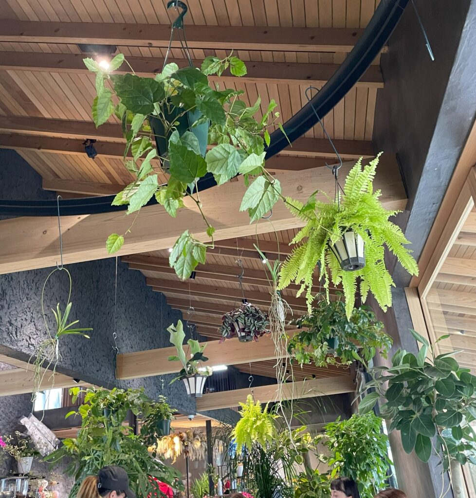 撮影箇所：mooiの天井　
撮影者：運営者