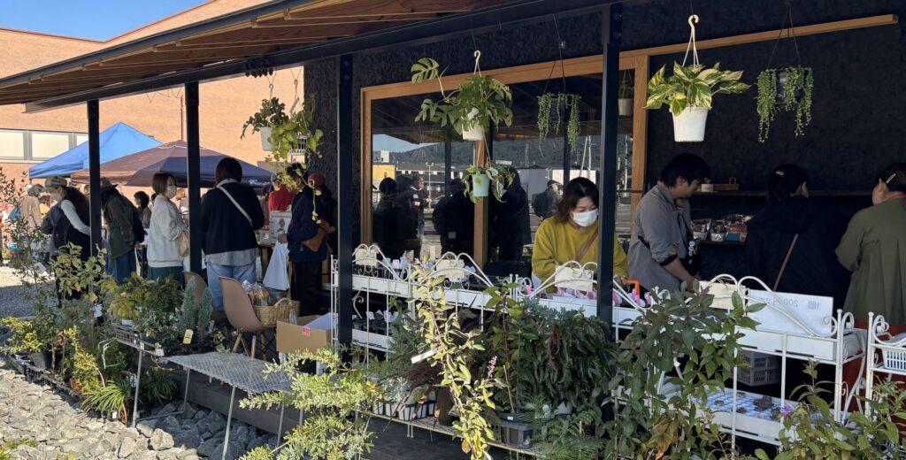 撮影箇所:mooi秋のイベント多肉のと雑貨のマルシェ
撮影日:2025/11/23
撮影者:運営者
追記