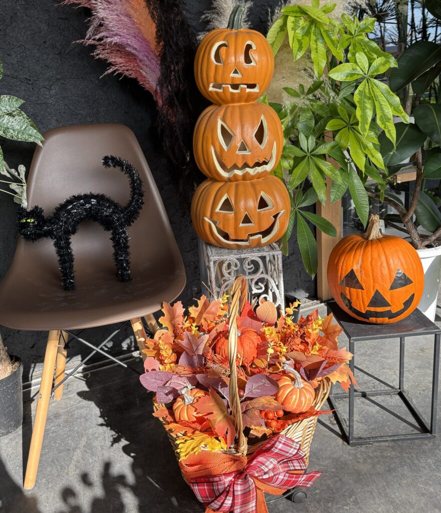 撮影箇所：mooi１周年ディスプレイ
撮影者：運営者
撮影日：2025/10/26