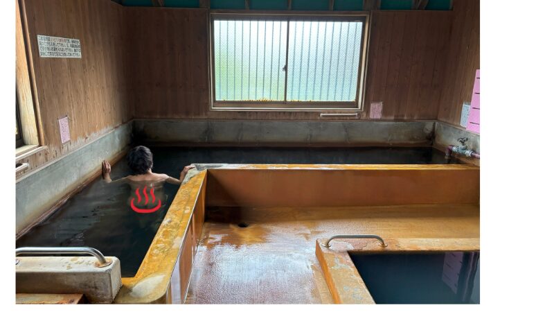 撮影箇所：こらんの湯内湯　
撮影者：運営者　
撮影日：2025/4/13