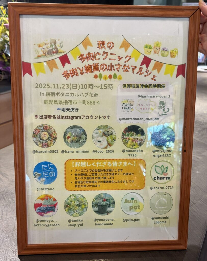 撮影箇所：カフェmooi イベント案内　撮影者：運営者　撮影日：2025/10/25