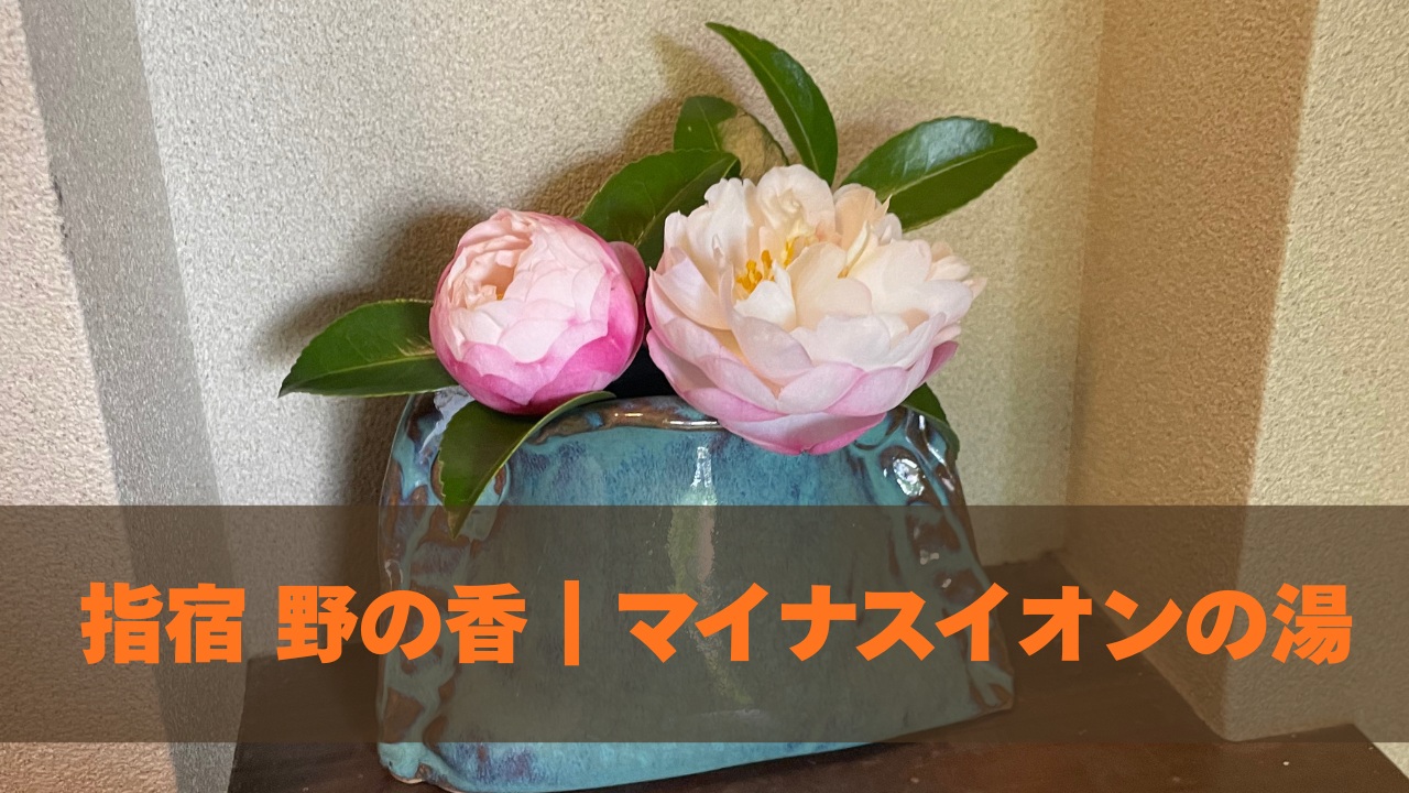 指宿野の香|マイナスイオンの湯